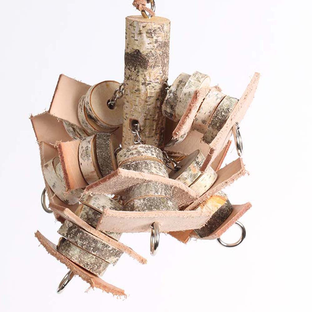 Birch Tree - Medium