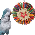 Rainbow Raffia