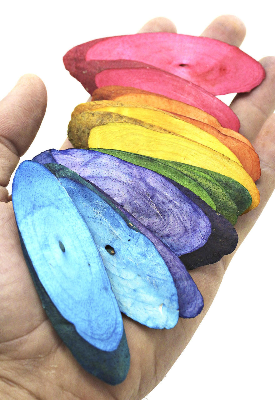 Rainbow Sola Slices