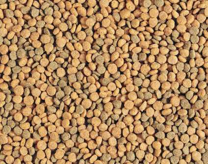 Hagen Tropican Pellets Cockatiel
