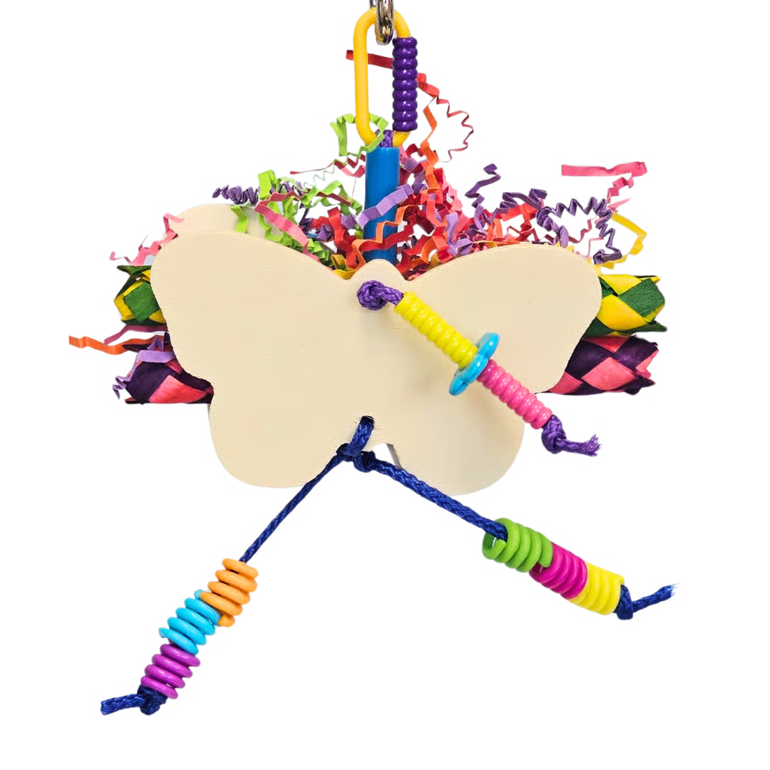 Butterfly Room