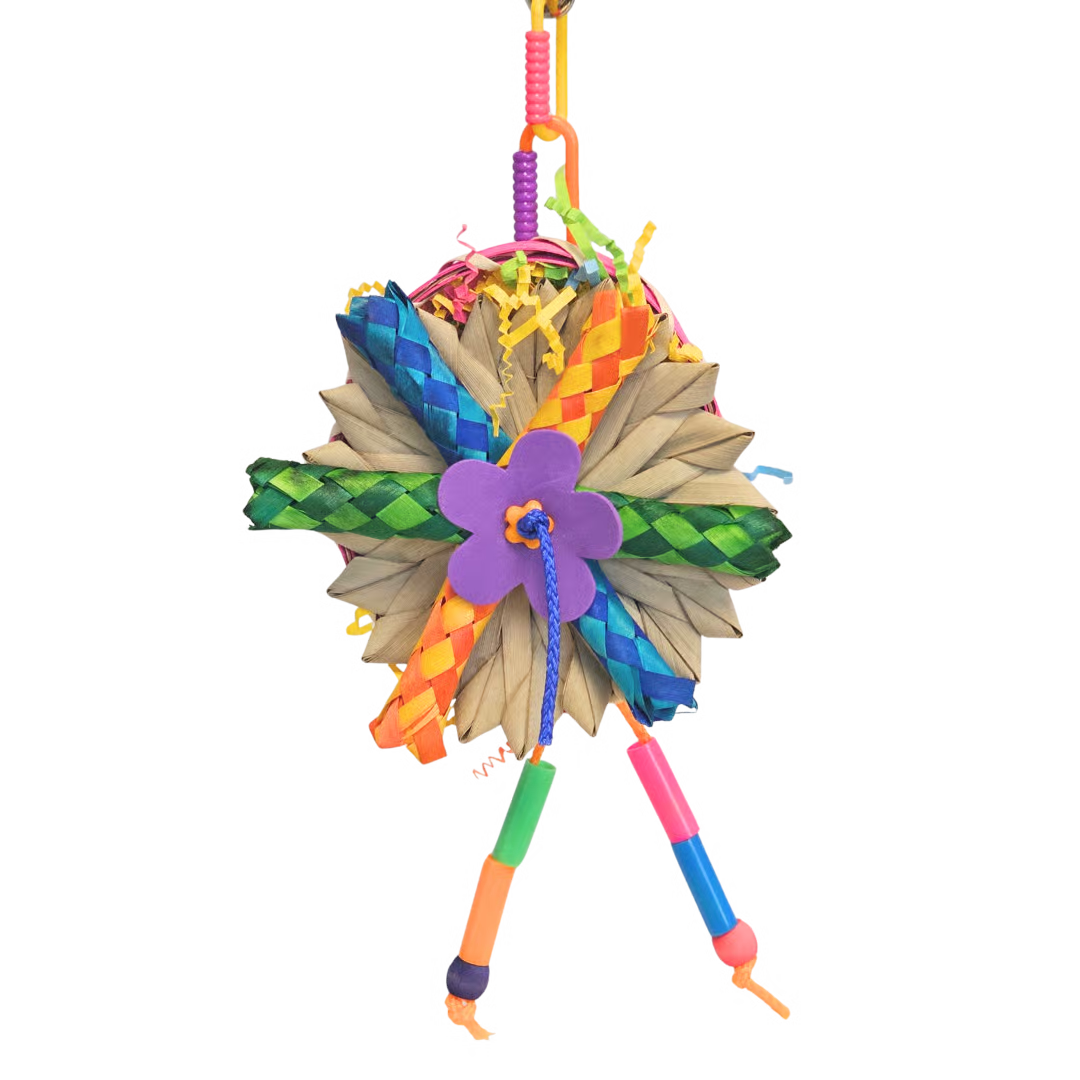 The Compass