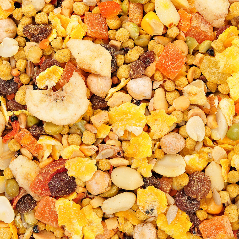 Hagen Gourmet Tropimix Premium Large Parrot