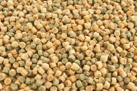 Hagen Tropican Pellets Parrot