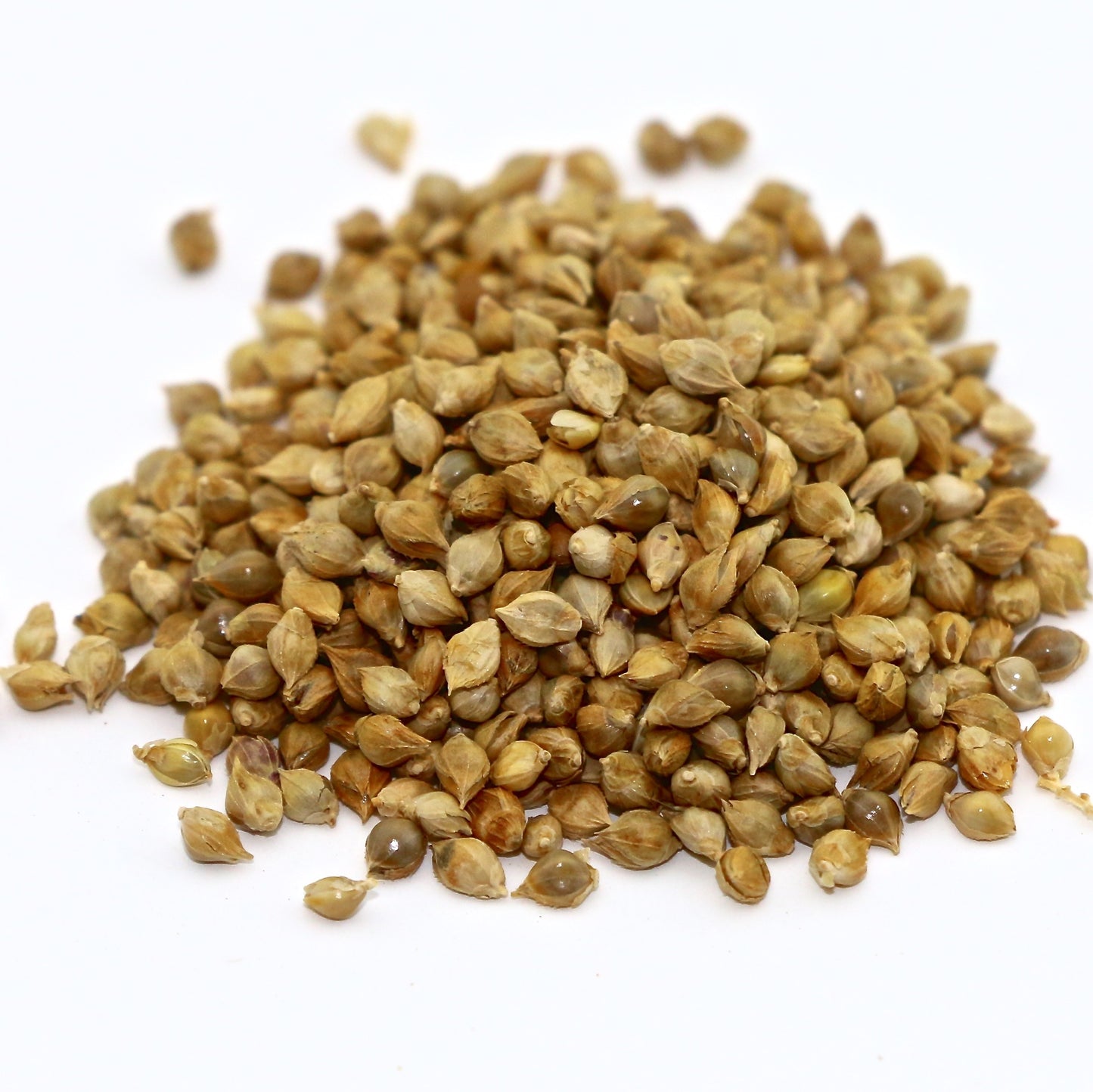 Japanese Millet