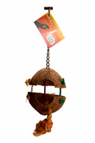 The Nut Hut