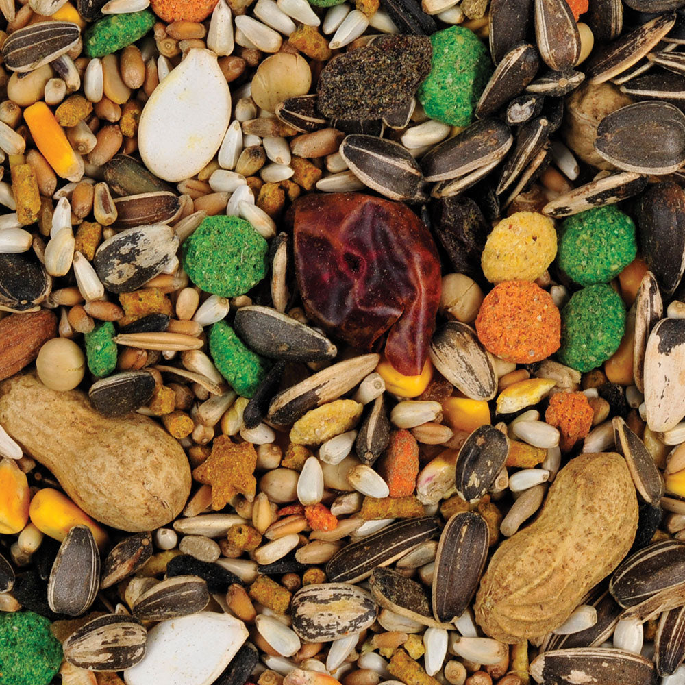Sunseed Vita Parrot