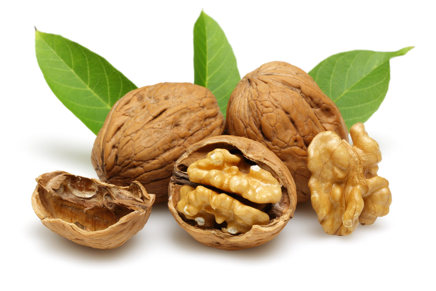 Walnuts in the Shell