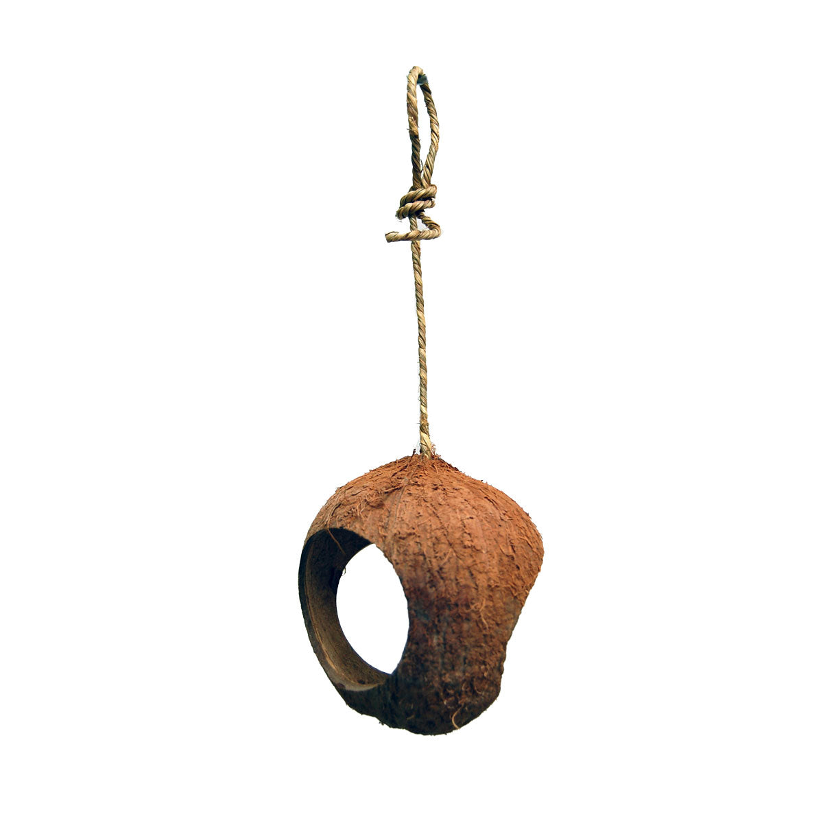 Coconut Whole 3 Holes
