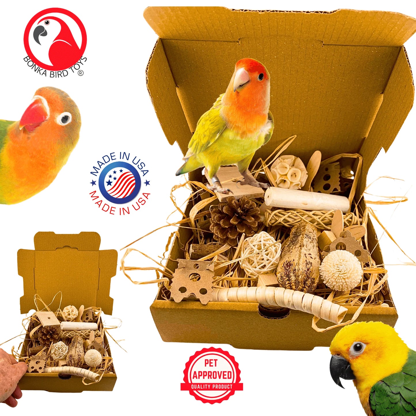 Bonka Natural Foraging Box