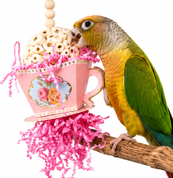 Sola Teacup (Pink)