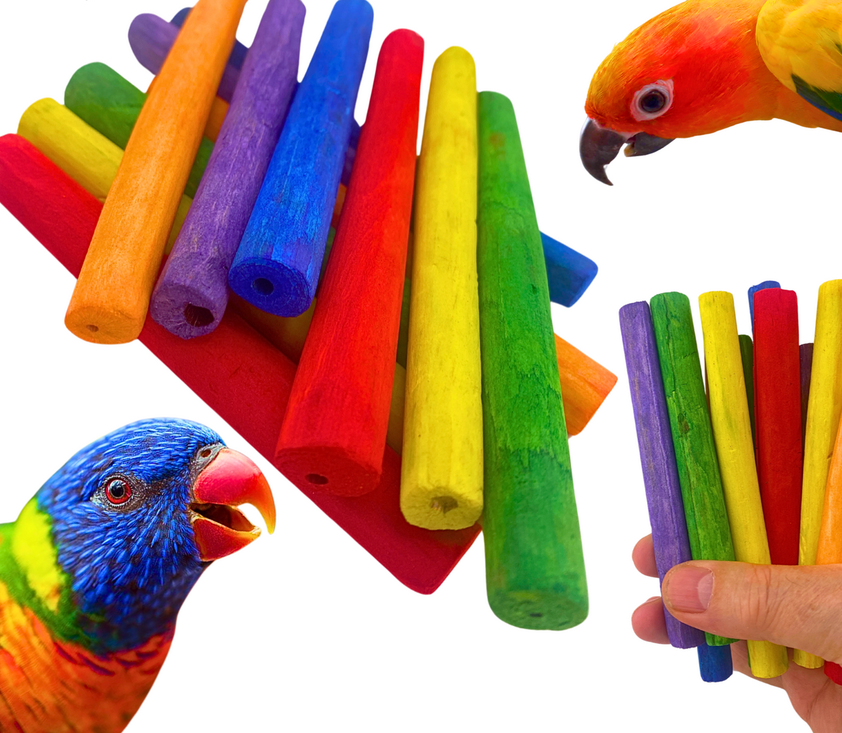 Sola Sticks - Colored