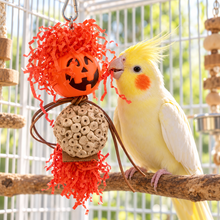 Pumpkin Bobble Head