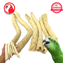 Natural Gobi Tail