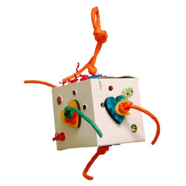 Fun Box 4"