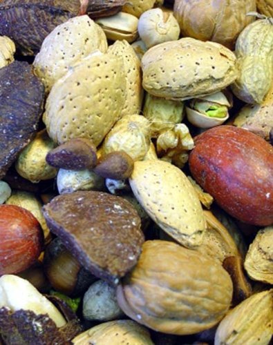 Higgins Boca Nuts In Shell 20lb Bag