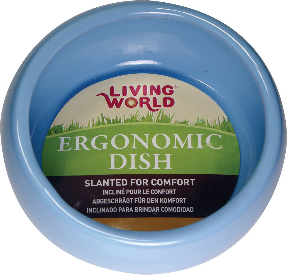 Ergonomic Dish