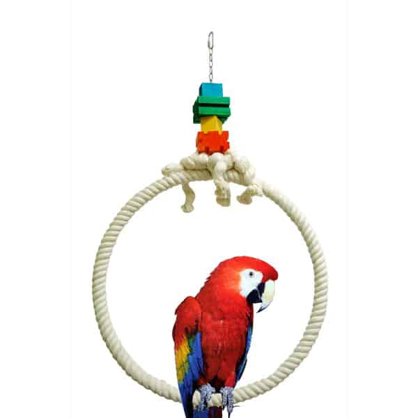 Hoop Cotton Ring 20"D
