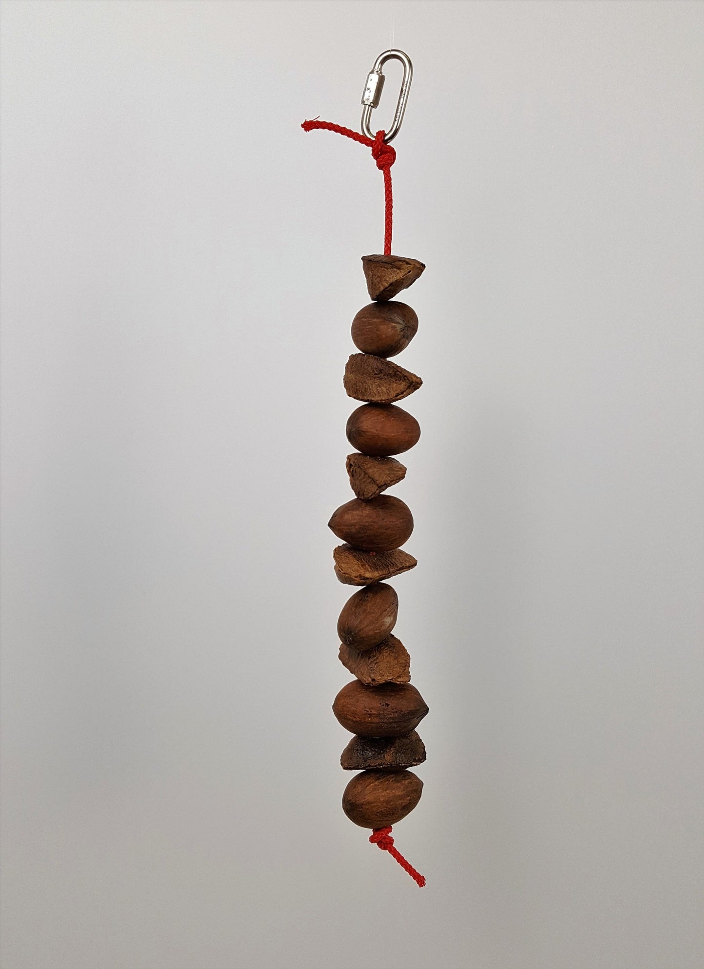 Brazil Nuts and Pecans on a String
