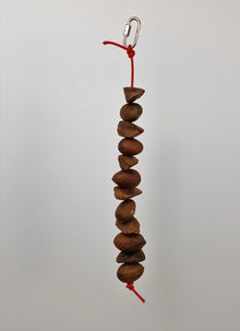 Brazil Nuts and Pecans on a String