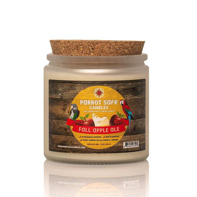 Fall Apple Ale Candle