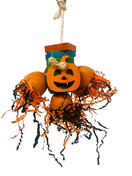 Shredded Pumpkin