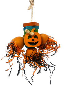 Shredded Pumpkin