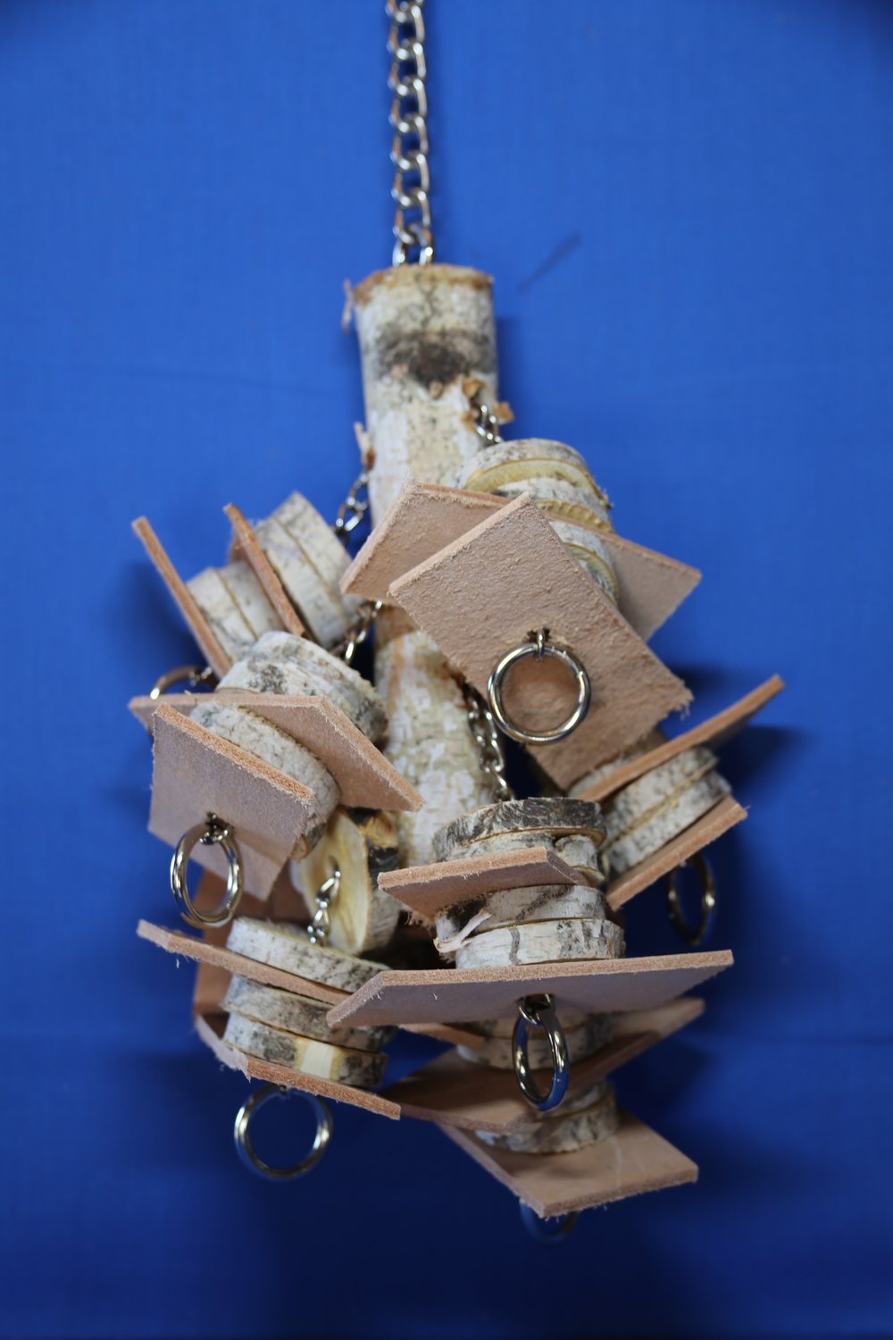 Medium Birch with Slices