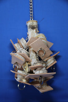 Medium Birch with Slices
