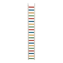 48" Parrot Ladder