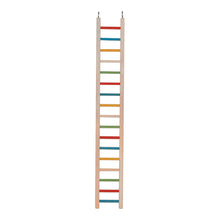 36" Cockatiel Ladder