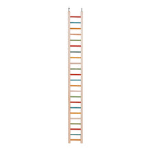 48" Cockatiel Ladder