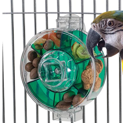 Extra Large Foraging Wheel