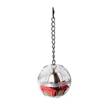 Foraging Ball with Bell