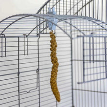 Millet Clips(Twin Pack)