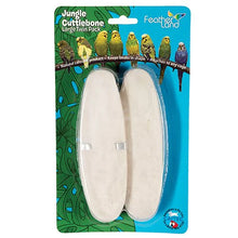 Large Cuttlebone - Twin Pack