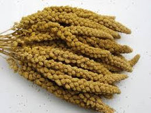Bulk Spray Millet 1lb bag