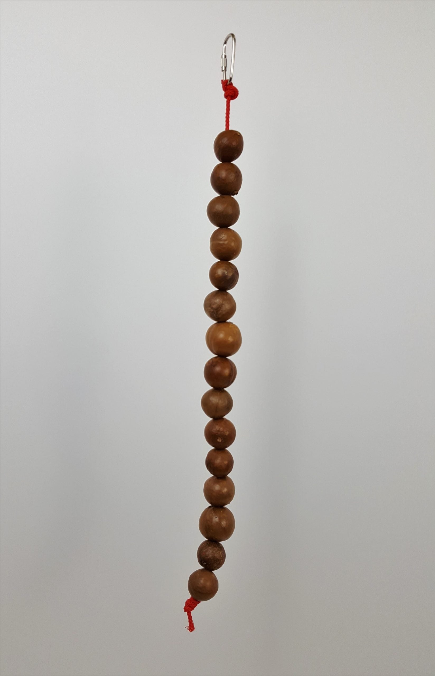 Macademia Nuts on a String