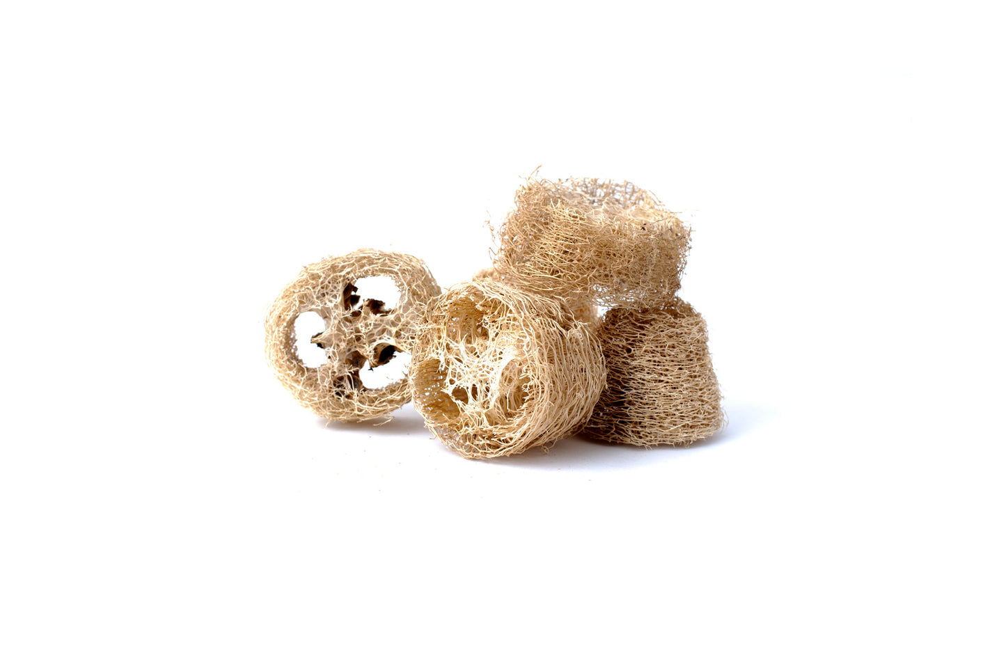 Loofa Slice