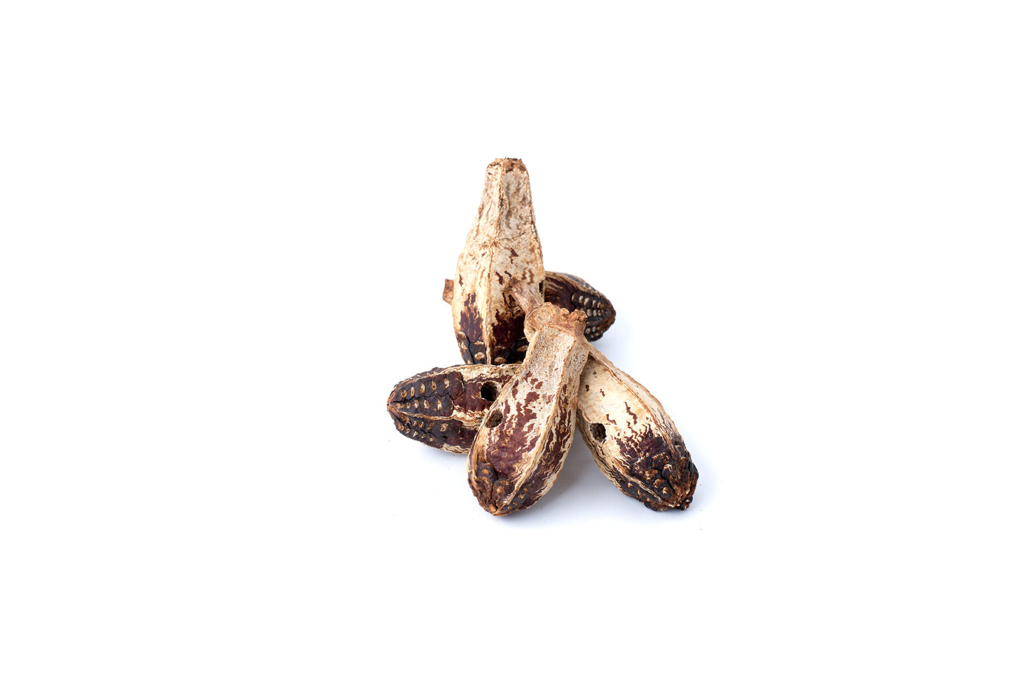 Single Mahogany Pod