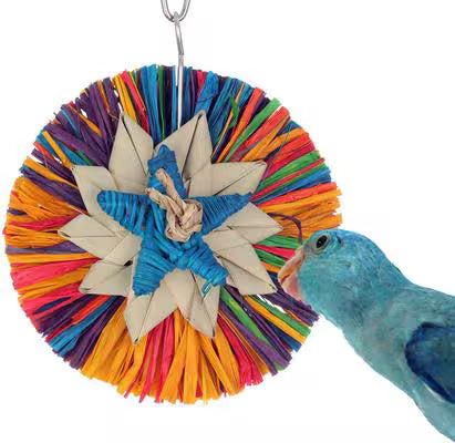 Rainbow Raffia