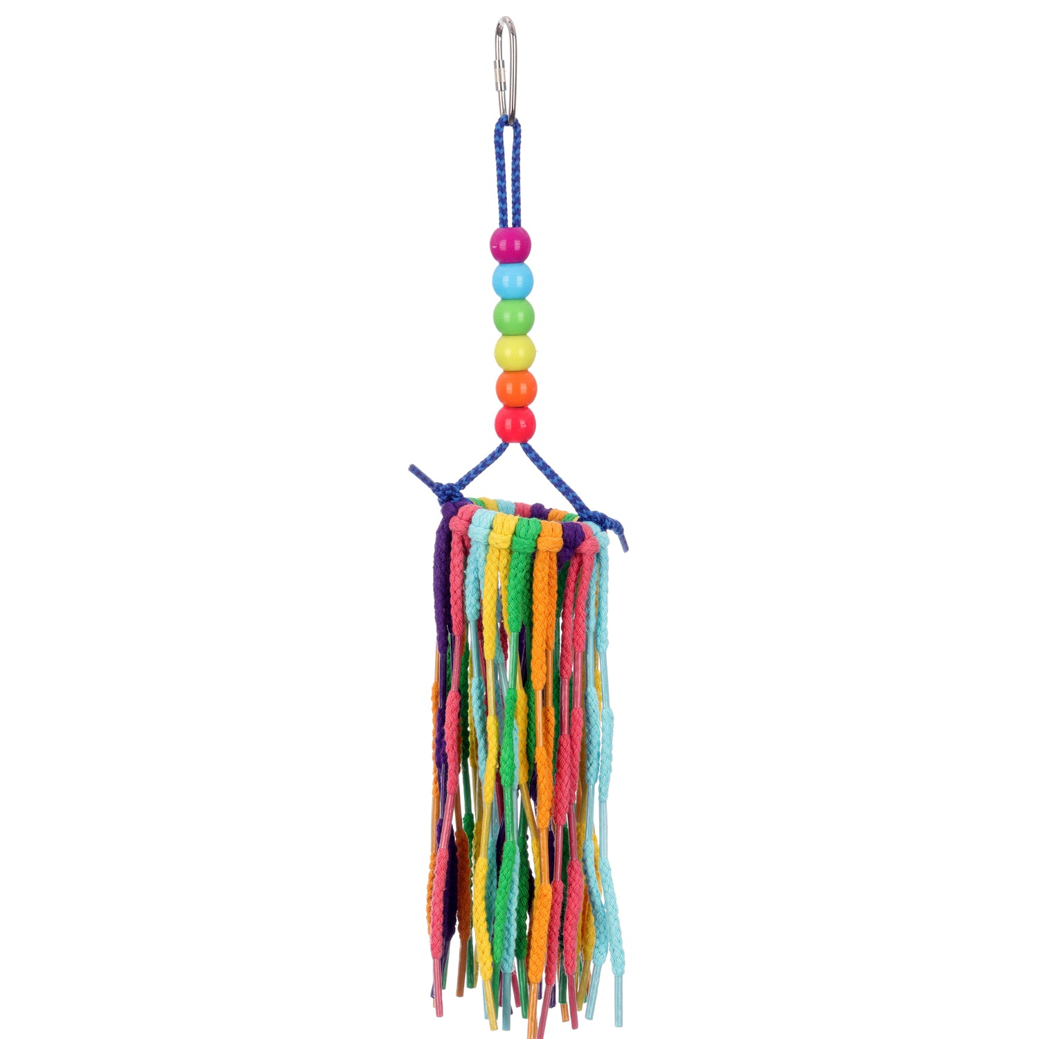 Small Rainbow Aglets