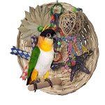 Busy Birdie Play Perch