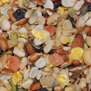 Higgins Sunburst Treats Boca Nuts no shell