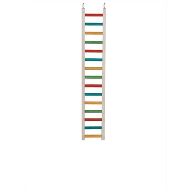 Parrot Ladder 24"