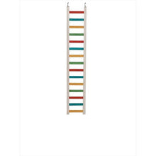 Parrot Ladder 24"