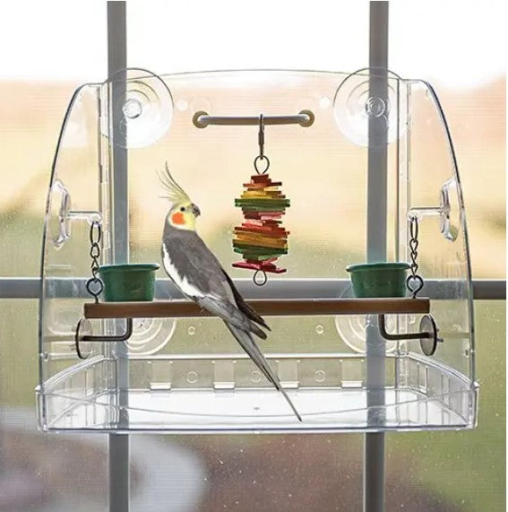 Bird Window Play Center