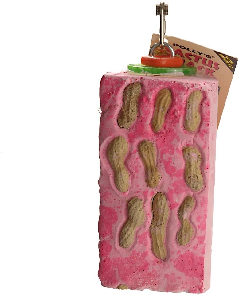 Polly's Cactus Snacks