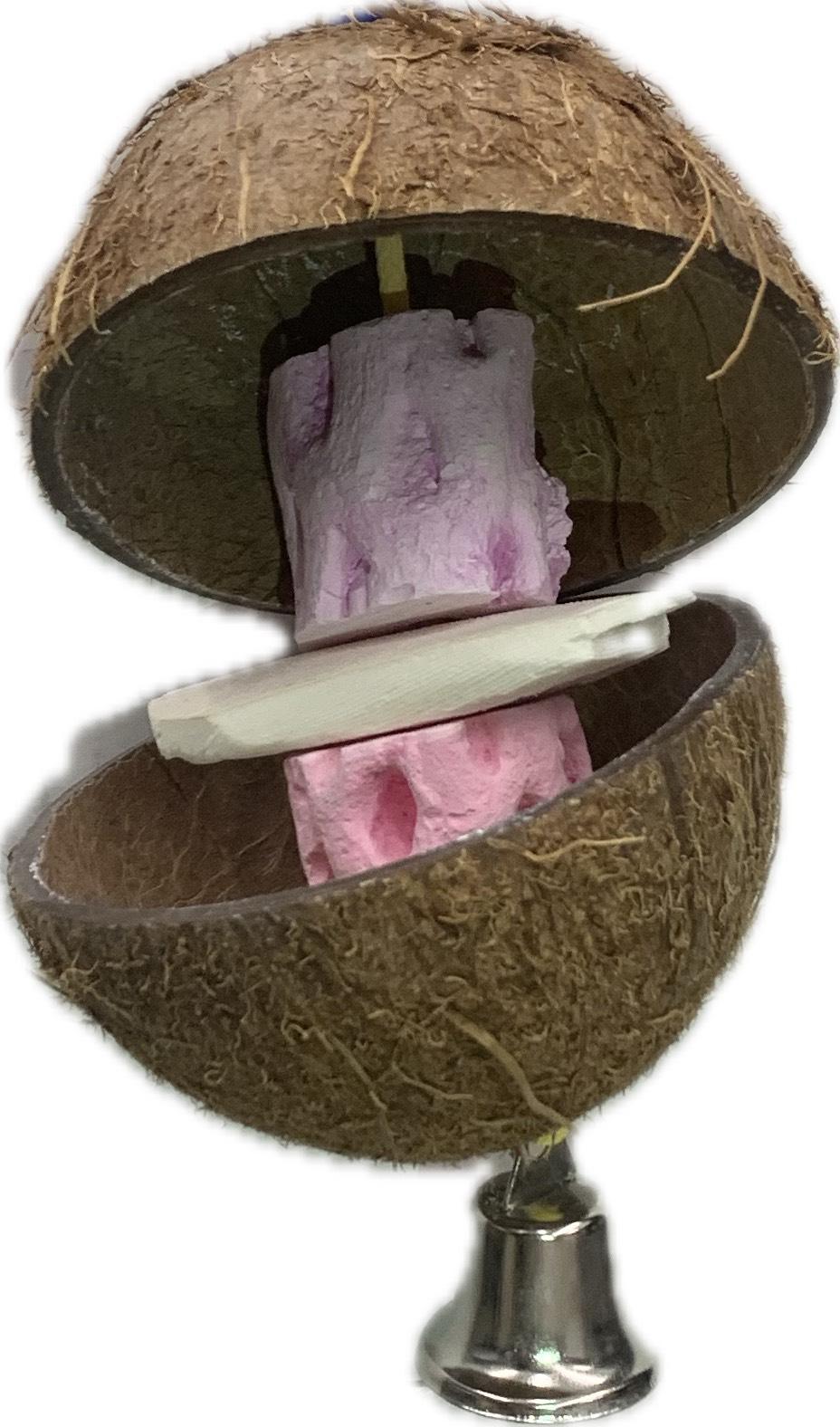 Polly's Coconut Hut
