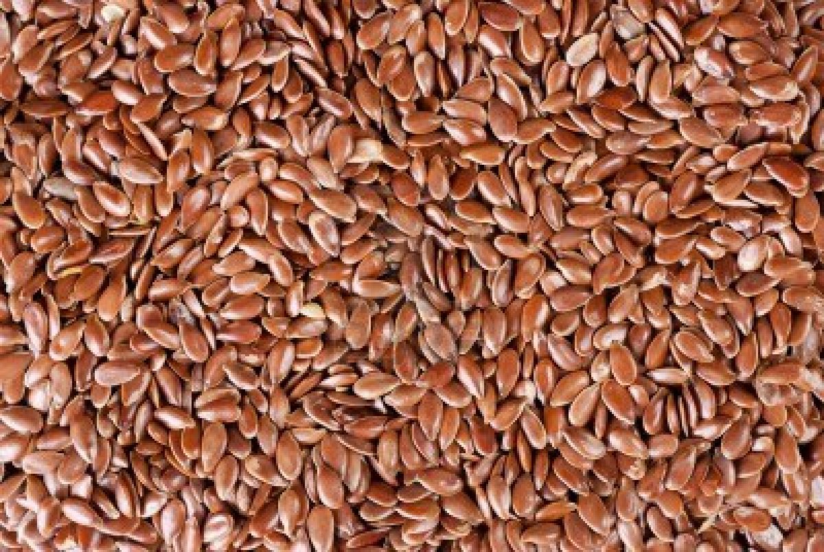 Flax Seed